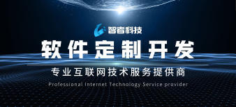 浙江智者科技 一站式软件开发解决方案