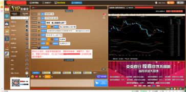 浙江软件开发 创新驱动与产业升级的引擎